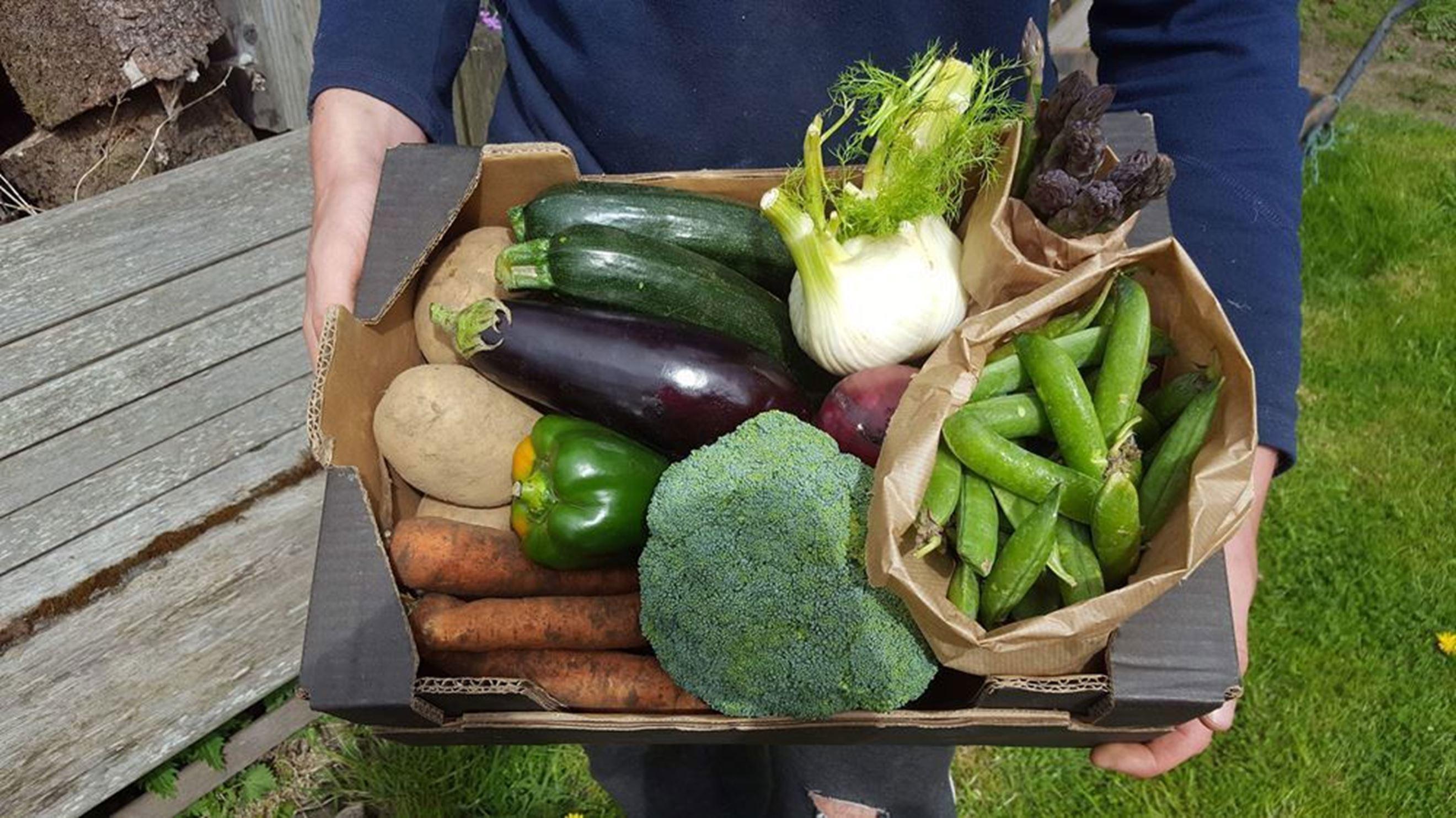 Veg Box