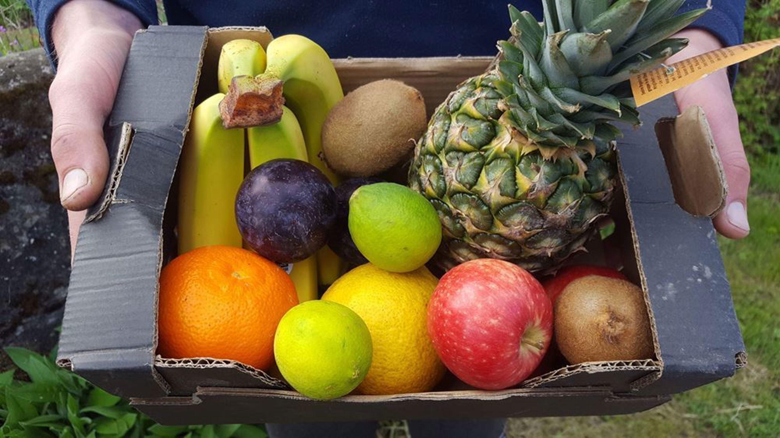 Fruit Box